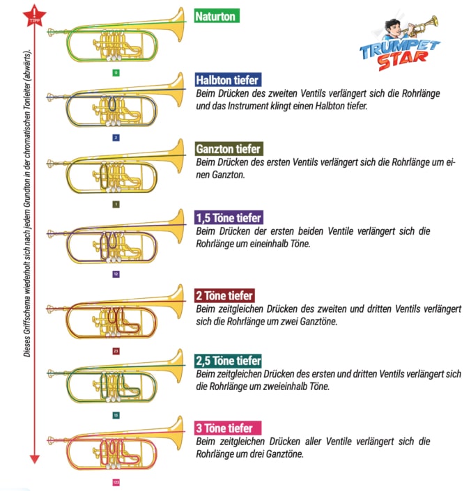 Trompete spielen lernen Alles was du als Anfänger wissen musst!